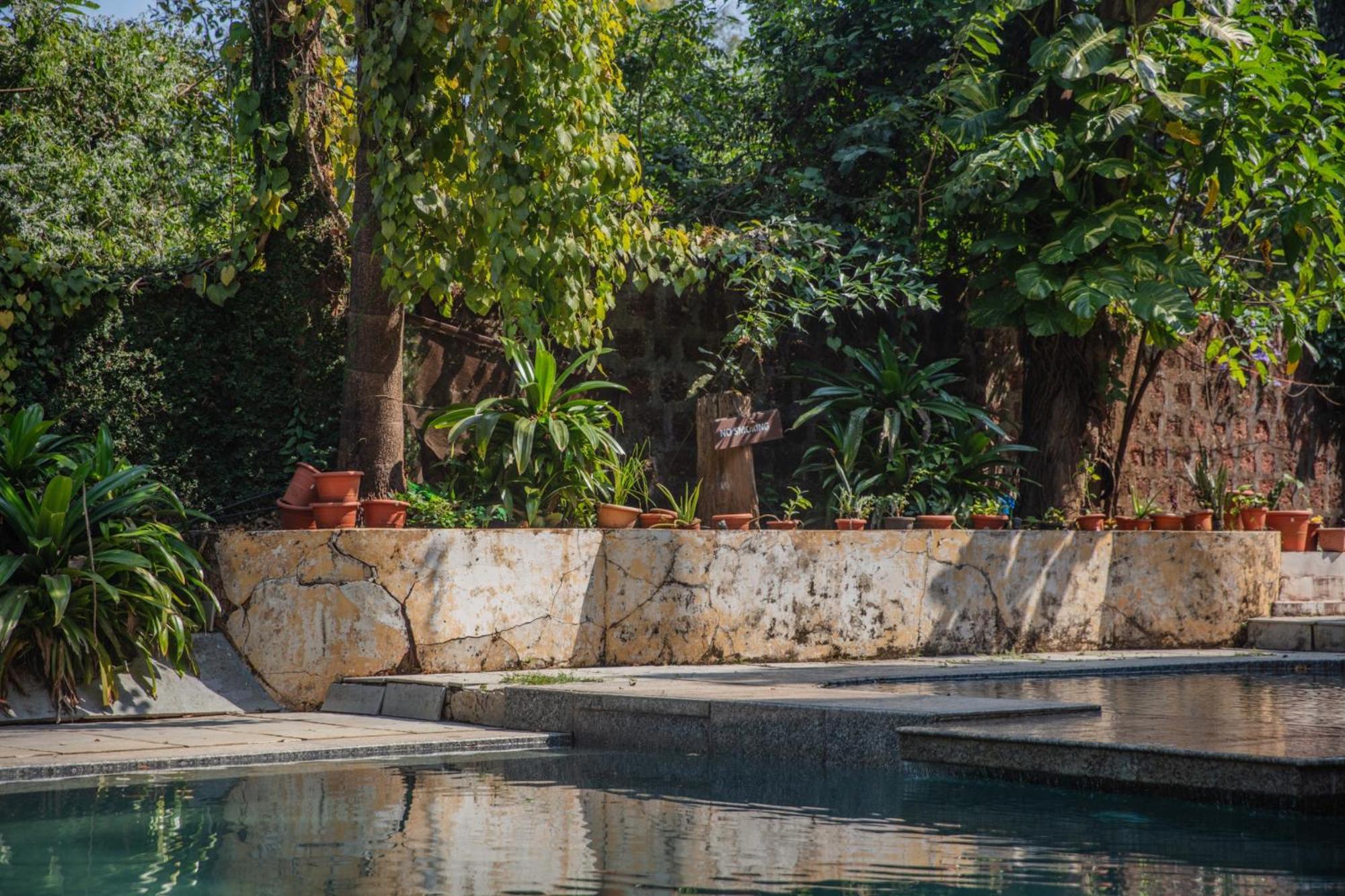 Satori Wellness Cottages I Yoga, Sauna, Ice Bath, Holistic Therapies & More Mandrem Luaran gambar