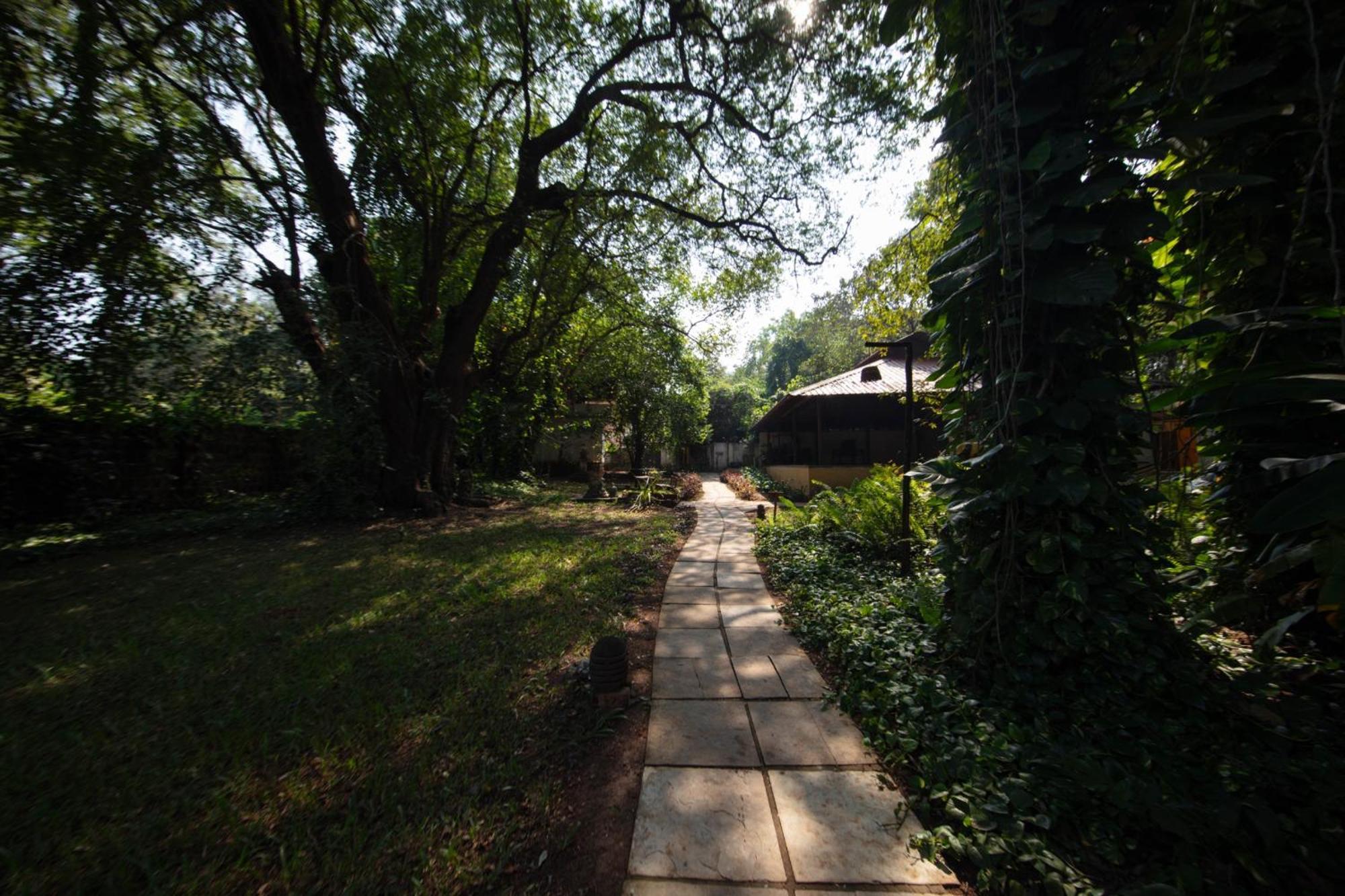 Satori Wellness Cottages I Yoga, Sauna, Ice Bath, Holistic Therapies & More Mandrem Luaran gambar