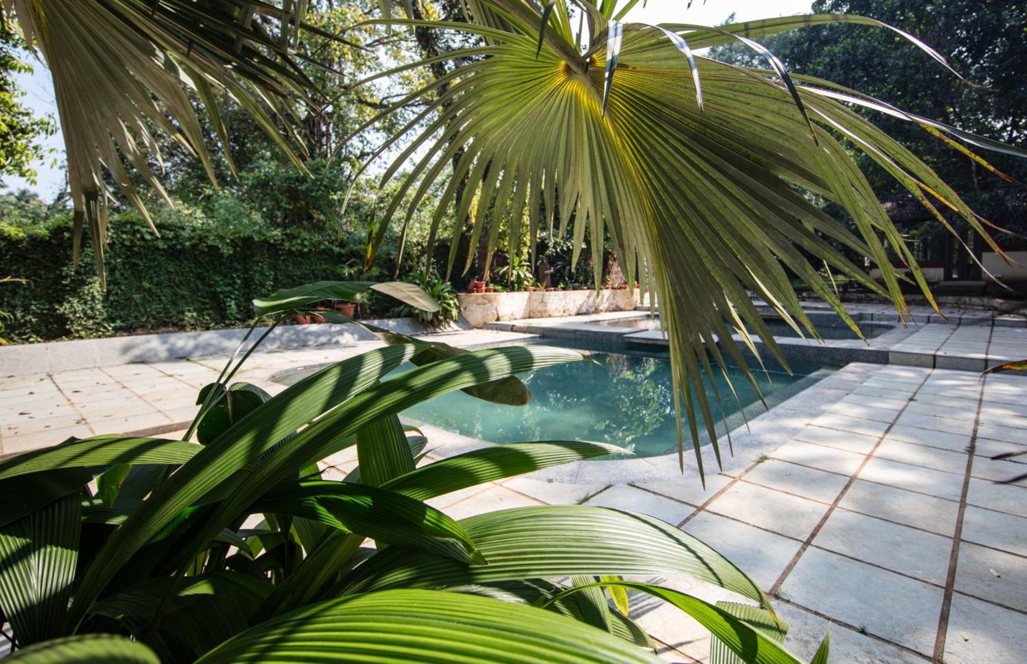 Satori Wellness Cottages I Yoga, Sauna, Ice Bath, Holistic Therapies & More Mandrem Luaran gambar